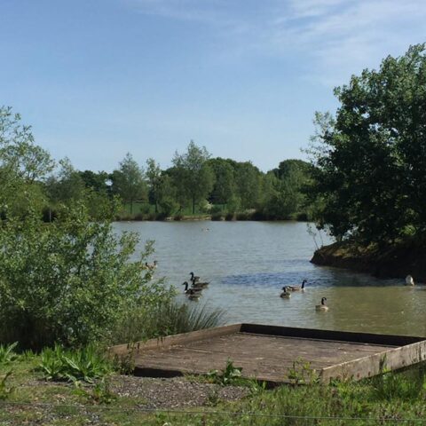 Rode Hill Fishery