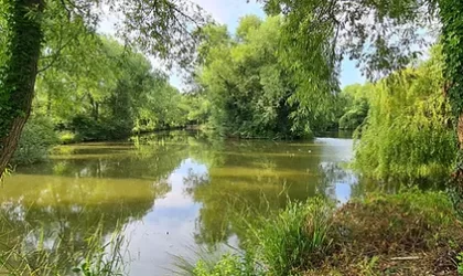 Rode Hill Fishery: Exclusive Discount For FADAA Members